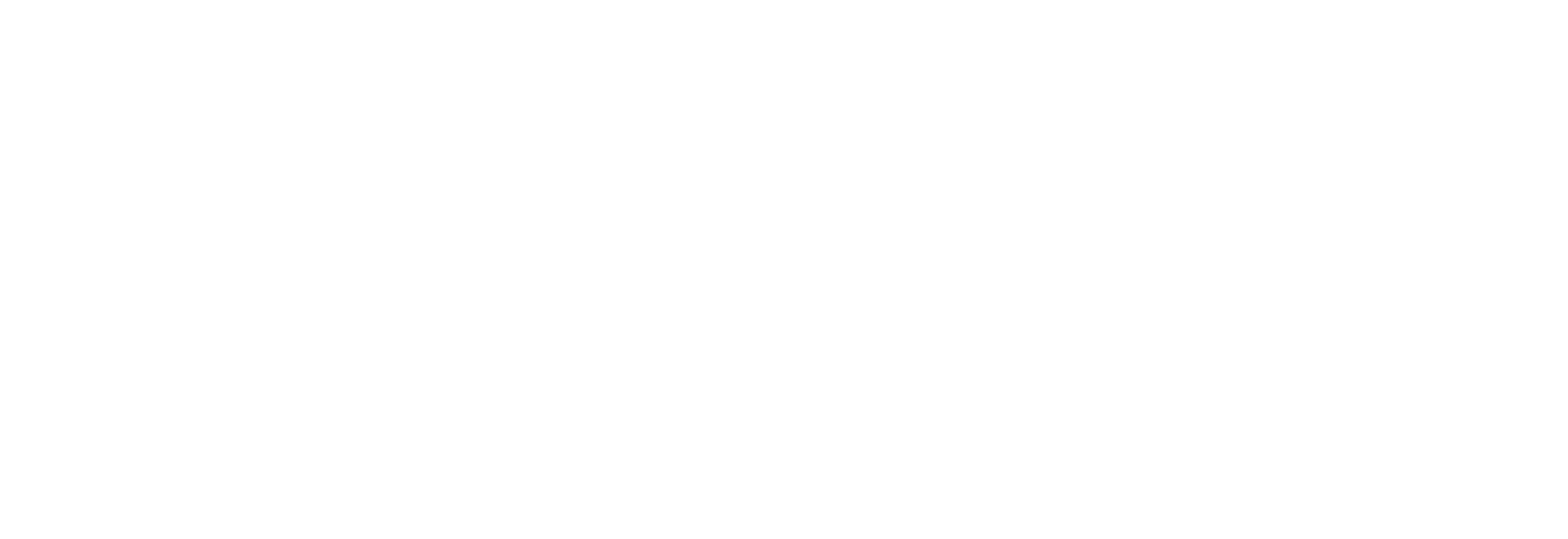 Zemlog Logo
